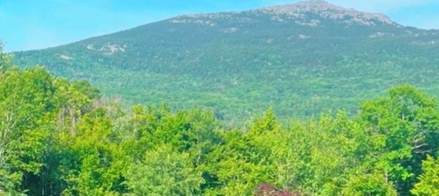 Cozy Romantic Mountain View studio at the base of Mt Monadnock