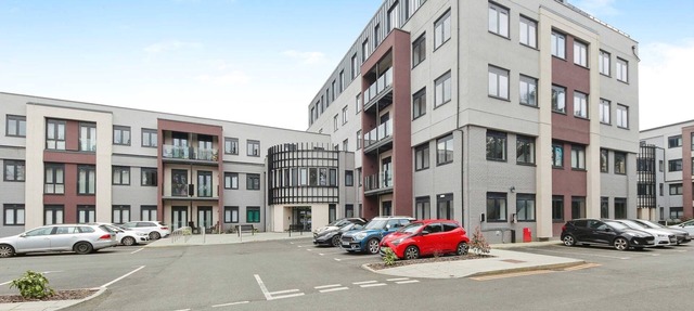 Cozy Studio in central Solihull near NEC & Airport