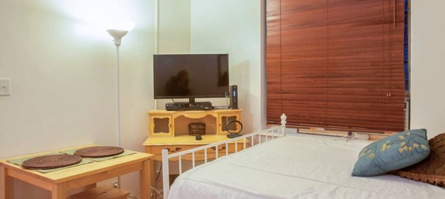 Cozy Studio Steps from Boston Common and Theaters