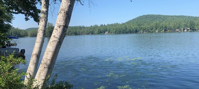 Cozy Waterfront 2-bedroom Cottage on Perkins Pond, Sunapee, NH