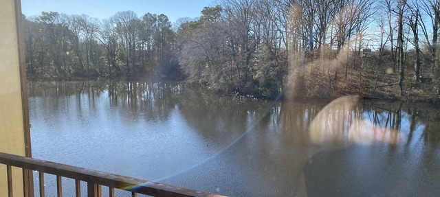 Cozy Waterfront Eastern Shore Condo