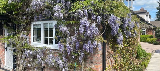 Curlew Cottage, Lower Peover