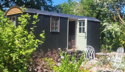 Cwt Cen y Coed