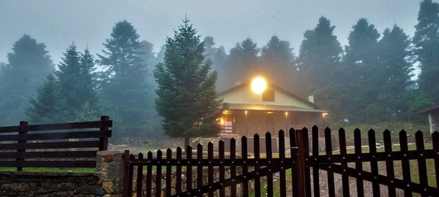 Dandy Villas Elatodasos - Chalet Artemis - Fir Forest - Jeep & Nature Lovers