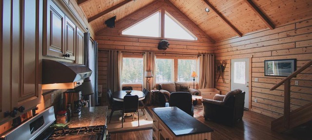 Denali Wild Stay - Bear Cabin with Hot Tub and Free Wifi, Private, sleep 6