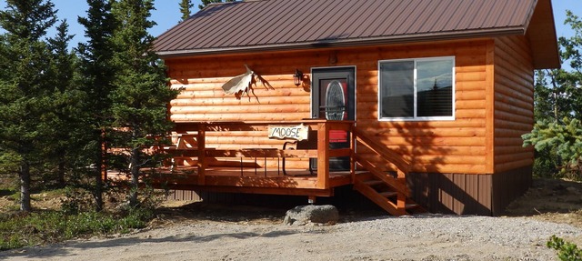 Denali Wildlife Moose Cabin Luxury with a touch of Rustic