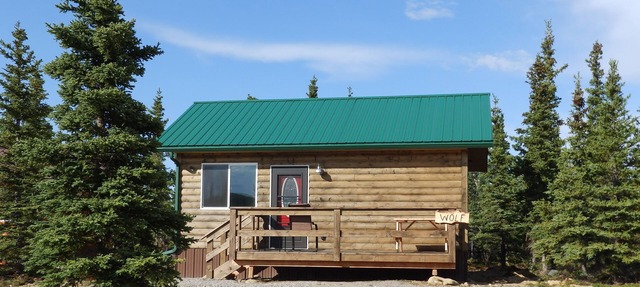 Denali Wildlife Wolf Cabin Luxury with a touch of Rustic.