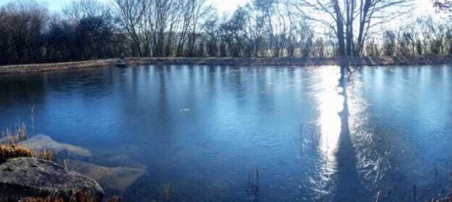 Dog-friendly vacation home with lake, 3000m² fenced park, panoramic sauna and fireplace