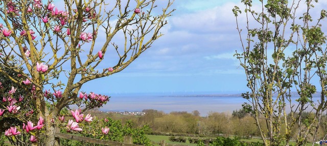 DOLPHIN BACH, pet friendly, character holiday cottage in Dolphin