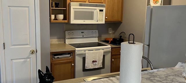 Downstair condo 2 baths 2 beds