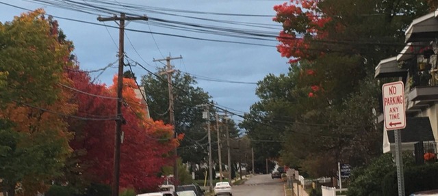 Downtown Westborough one bedroom condo with treetop views and private parking