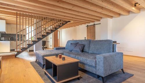 Duplex Cermis