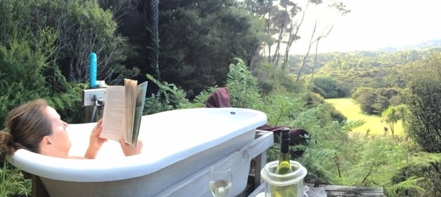 Eco-Bach inside a kiwi sanctuary