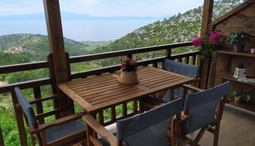 Eden View