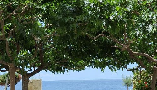 Eirini Apts On the beach