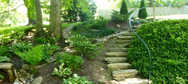 Enchanted Cottage On Babbling Brook