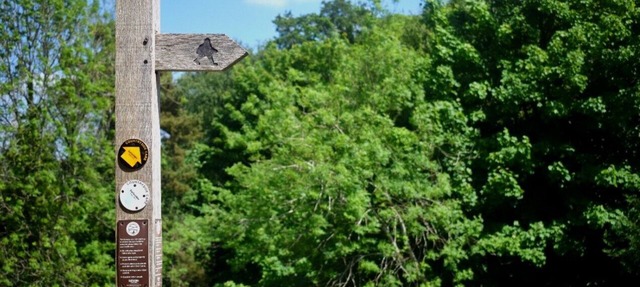 Exclusive use hostel with large kitchen, dining room, lounge and en-suite dorms.