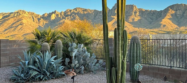 Expansive mountain views! Spacious retreat near Catalina State Park!
