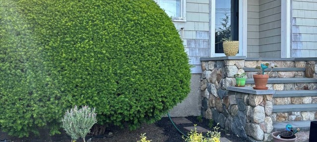 Experience Classic Charm in a Cozy 115-Year-Old Colonial