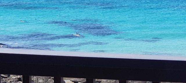Explore coastal luxury at On The Rocks