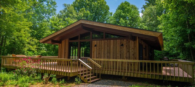 Explore on 13 Acres of Private Land | Black Dog | Bring Your Pups