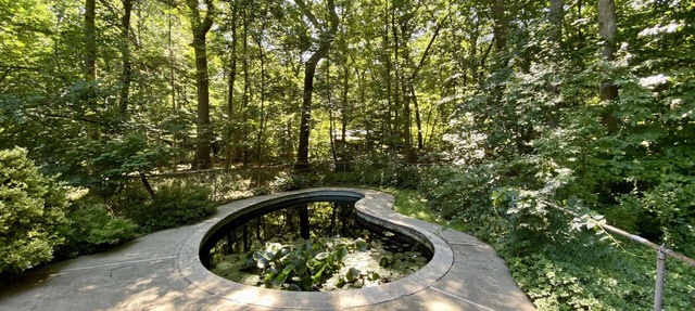 Exquisite Contemporary Home Overlooking Woods