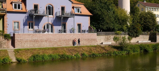 Fantastic apartments with a sun terrace directly on the shores Tauber