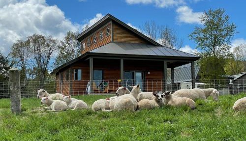 Fat Sheep Farm & Cabins