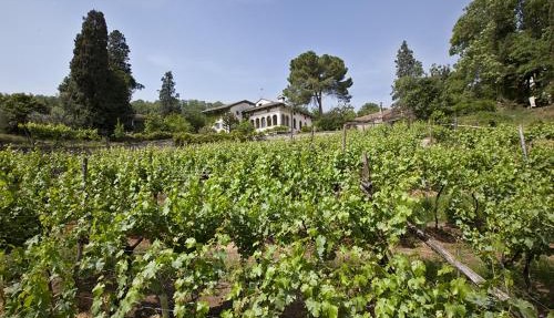 Fattoria Le Vegre