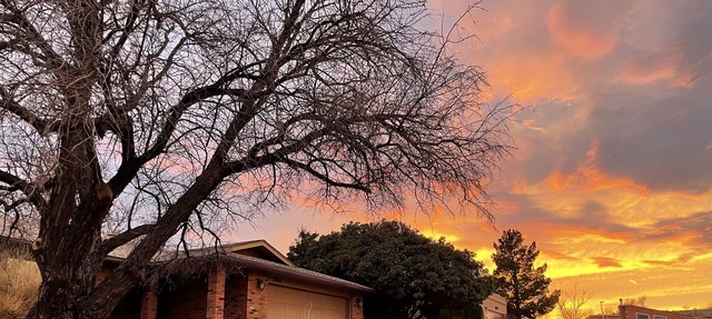 Fenced yard, Office, and Coffee bar! Come stay in this peaceful ABQ home!