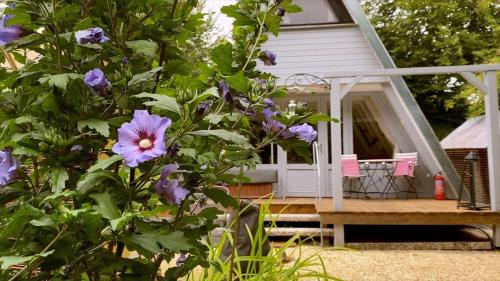 Ferienhaus am Waldrand