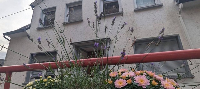 Ferienhaus "silent River-mosel - Ferienhaus, Dusche Oder Bad, WC
