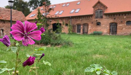 Ferienhof Weitblick
