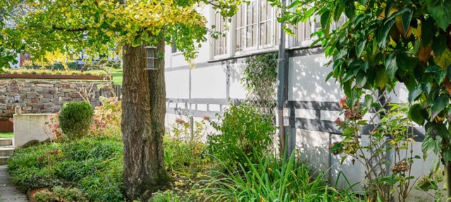 Ferienwohnung im Denkmalgeschützten Fachwerkhof - Haus in Bewegung - Denkmalgeschützter Fachwerkhof