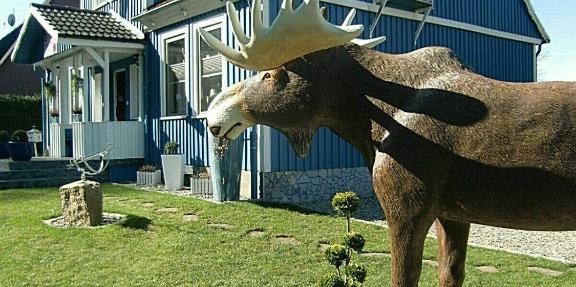 FERIENWOHNUNG HEIDESCHWEDIN ll