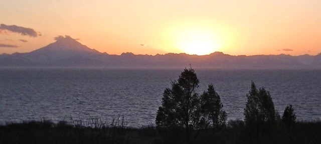 Fireweed Cabin on the Cook Inlet, Basecamp for all your Alaskan adventures!