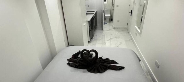 Flat in Euston Central London