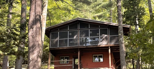 Forest Hideaway