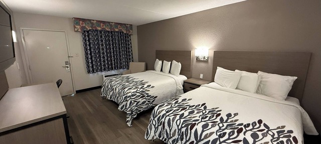 Four Deluxe 2 Queen Units—Bright, Comfortable & Ideal for Big Groups