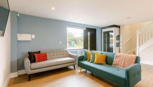 Fully Accessible-Disabled Adapted-Hot Tub-Pets