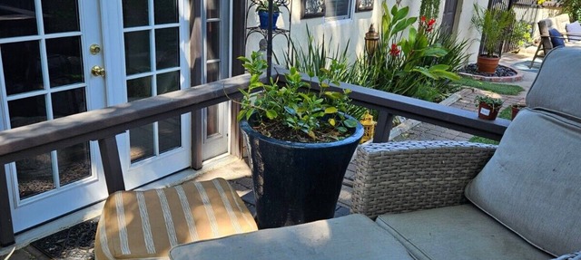 Garden Casita