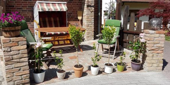 Garten Eden