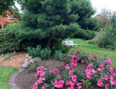 Gartenidylle