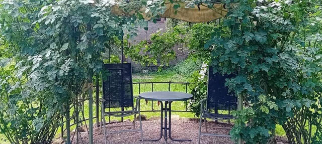 Great flat in Klüsserath with large garden