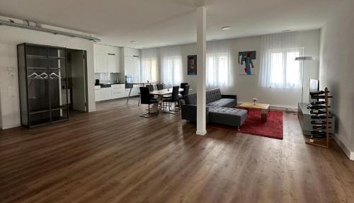 Grosse Einzimmerwohnung/Büro/Showroom