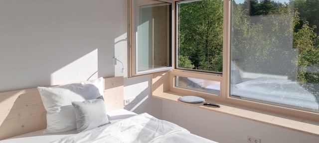 HAAUS