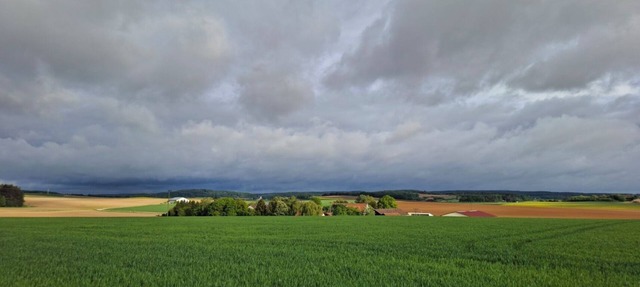 "Harlandencia" - A different take on the countryside
