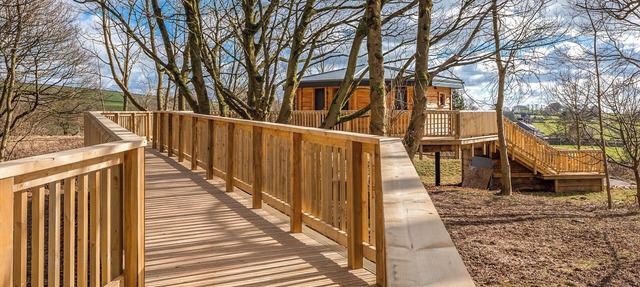 Hartington Treehouses