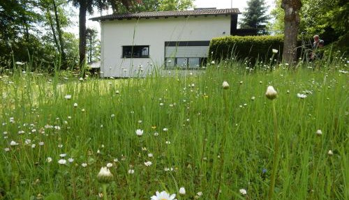 Haus am Wald