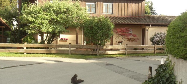 Haus Martina